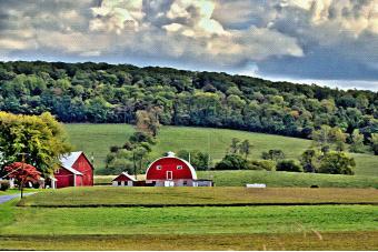 BARN NEAR LANDERS ROAD 