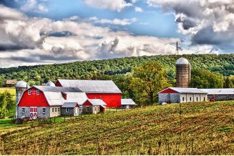 BARN NEAR POINT OF ROCKS