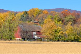 BARN ON KEMP LANE