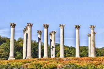 CAPITOL COLUMNS