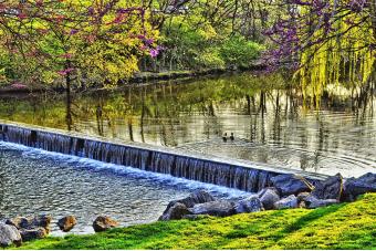 CARROLL CREEK AT COLLEGE AVE