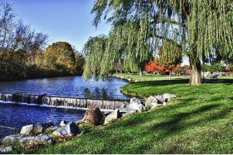 CARROLL CREEK AT COLLEGE AVE II