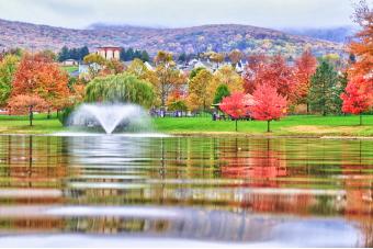 FALL AT WHITTIER LAKE I