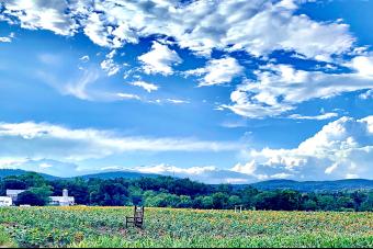 FIELD OF DREAMS