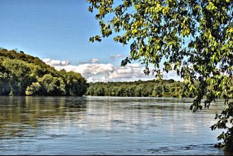 MONOCACY RIVER PAINT