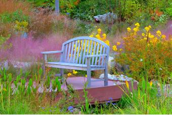 SERENITY GARDEN