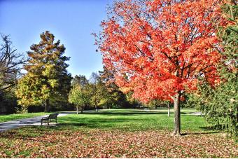 SERENITY IN COLOR AT BAKER PARK