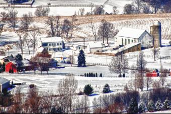 SNOW FARM