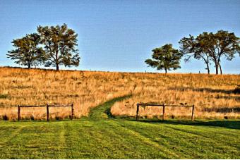 THE PATH