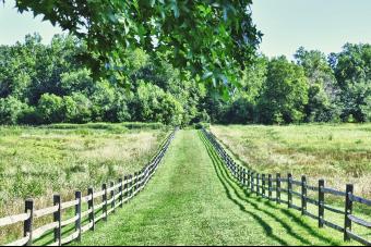 WALK WITH MESUMMER 