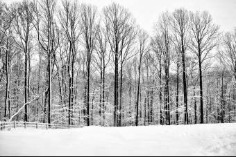 WINTERS CALM AT MAITLAND