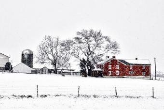 WINTER DOWN ON THE FARM