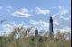 CAPE HENRY LIGHTHOUSES