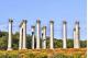 CAPITOL COLUMNS
