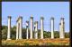 CAPITOL COLUMNS