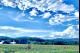 FIELD OF DREAMS
