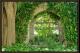 IVY GATE
