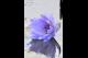 PURPLE LILY