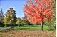 SERENITY_IN_COLOR_AT_BAKER_PARK_24X36.jpg