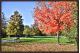 Serenity in Color at Baker Park Framed