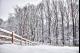 SNOW AT MAITLAND 6