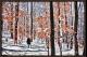 WALKING THROUGH THE WOODS ON A SNOWY EVE