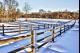 WALK WITH ME WINTER 3