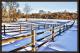 WALK WITH ME WINTER 3