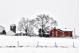 WINTER DOWN ON THE FARM